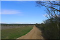 TF0111 : Newly surfaced path past new plantation on Walk Farm by Tim Heaton