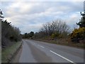 Puddletown Road on Stokeford Heath