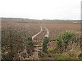 Footpath towards Steetley