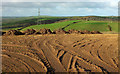 Manure heaps near Trelill