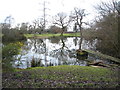 Pond and Pylon