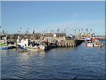 SX9256 : Brixham - fishing harbour by Chris Allen