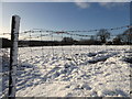 Wintry at Maine