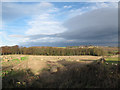 Straw bales in a field above Kirkby Wood