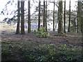 A glimpse of the stable block at Eywood