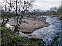 NH8451 : River Nairn by valenta