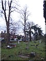 St Mary, Merton: churchyard (iv)