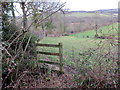 Llwybr ger Tirpab / Footpath near Tirpab