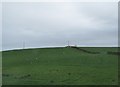 Drumlin farmland under grass on the east side of the A22