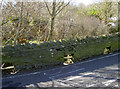 Flowing off the road and into the Folly Brook