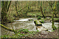 Bridge, leat and river at Lemail Mill