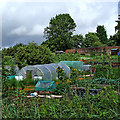 Allotments near Rainbow Hill in Worcester