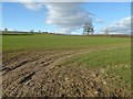 Farmland near Upper Marston