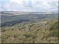 Valley west of Easdon Tor