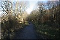 Footpath through The Cunyon