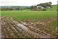 Farms near St Mabyn