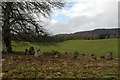 NH5935 : Aldourie Stone Circle by Greg Fitchett