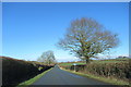 Newland Common Road on Cycle Route 45