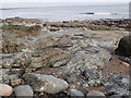 Silurian greywacke shale outcrops below the South Promenade