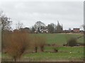 New House Farm with willow trees