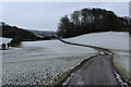 Farm Track heading towards Cinque Cliff Wood