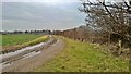 Track towards Stonecoft Farm