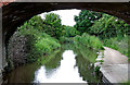 SO8857 : Worcester and Birmingham Canal north-east of Worcester by Roger  D Kidd