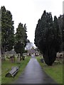 St. Mary, Beddington: churchyard (ii)