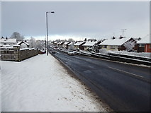 H4672 : Snow along Hospital Road, Omagh by Kenneth  Allen