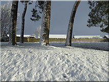 H4672 : Snow, open area, Knockgreenan by Kenneth  Allen