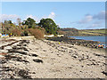 Loe Beach, Feock, on a bright winter