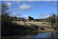 New Ground Farm from Grand Union Canal towing path