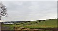 Derryleckagh Lake viewed from the B8