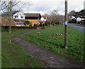 Bend in the Dancing Hill pavement, Undy