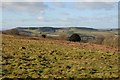 SO7537 : View to Bradlow Knoll by Philip Halling