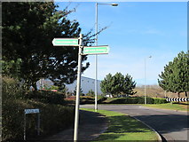 SO8764 : Monarch's Way Signpost at Pointon Way Industrial Park by Roy Hughes