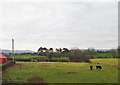 View South across grazing land from the A25