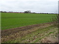 Farmland on the east side of Deanshanger