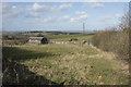 A view towards the Trent