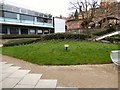 Field of Hope at UMIST