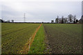 Path leading to Church Lane, Moor Monkton