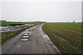 Private farm track towards Wilstrop Grange