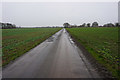 Private farm track towards Moor Lane