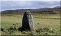 Standing stone at Finlaggan