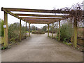 SE1429 : Harold Park: sensory garden by Stephen Craven