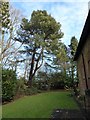 The Wisdom of God, Lower Kingswood: churchyard