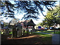 St Mary, Ewell: churchyard (vi)