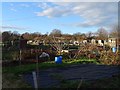 Highfield Lane Allotments