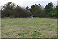 Tents in the hedgerow