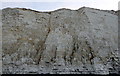 TV5595 : Chalk Cliffs, Birling Gap by PAUL FARMER